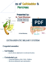 Gall Bladder & Pancreas 2010