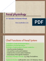 Renal Physiology