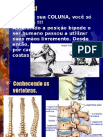 Avaliação Postural