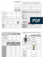 Actividades de Digestion