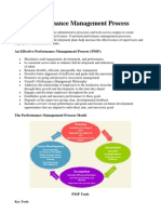 HESS Performance Management Process