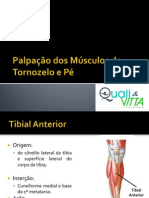 13 Aula - Palpação Dos Músculos Do Tornozelo e Pé (CURSO)