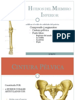 Huesos Del Miembro Inferior