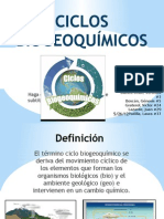 Ciclos Biogeoquimicos