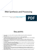 RNA Synthesis and Processing