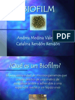 BIOFILm Actual