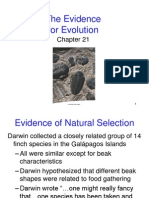 The Evidence For Evolution