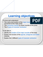 Learning Objectives: Major Muscles Movement Caused Types of Muscular Contraction