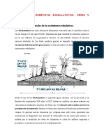 TEMA 5 Yacimientos Exhalativos