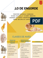 Pollo de Engorde