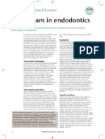 Cone Beam in Endodontics - Bertrand Khayat and Jean-Charles Michonneau