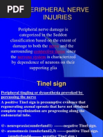 Peripheral Nerve Injuries: Nerve Connective Tissue Nervous System