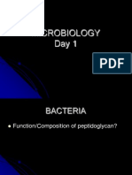 Day 1 Bacteria