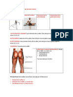 Semiologia Osteomuscular Del Miembro Inferior