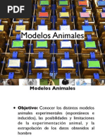 Tema+1 +Modelos+Animales-1