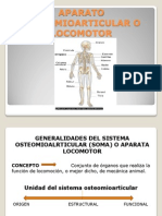 Aparato Osteomioarticular o Locomotor