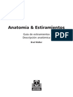 Anatomía & Estiramientos