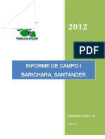 Informe Campo I Barichara