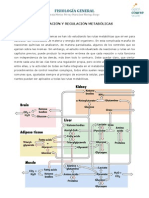 Tema 6 Bloque I Integracion