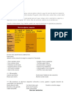 Adjetivos e Subst Plural