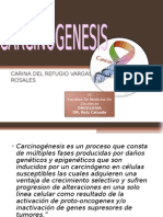 Oncologia Carcinogenesis