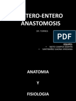 Entero - Entero Anastomosis