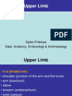 Clinical Anat Upper and Lower Limb