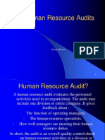 Human Resource Audits: Hasan Mustafa