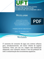 Apresentação Wetlands