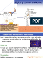 Control Neurológico y Control Endocrino