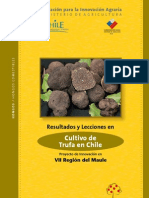 Cultivo Trufas