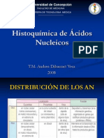 I Acidos Nucleicos