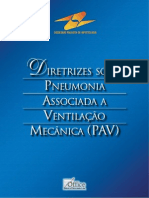 Consenso SPI - Diretrizes Sobre PAV