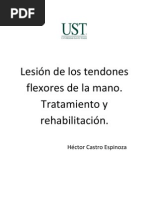 Lesion de Los Tendones Flexores Tratamiento y Rehabilitiacion