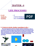 6 Life Processes