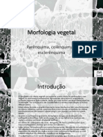 Morfologia Vegetal