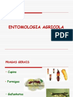 Entomologia Agricola Aula 8