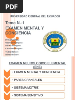 Examen Mental y Conciencia