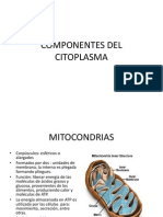 Componentes Del Citoplasma