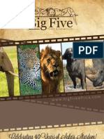 Big Five Tours and Safaris