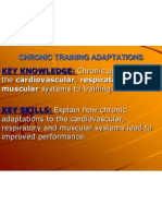 Chapter 11 Training Adaptations