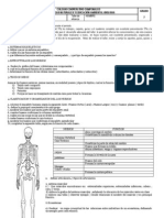 Taller de Refuerzo 7 IIP