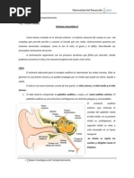 Articulo 10, Sistemas Sensoriales Parte II