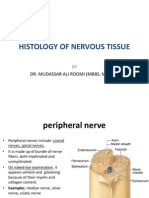 Lecture On The Histology of Peripheral Nerve and Ganglia by Dr. Roomi