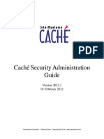 Intersystem Cache Database Security Admin