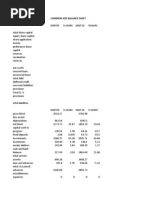 Common Size Balance Sheet