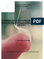 Variabilidad Del Reclutamiento y Pronostico de La Pesqueria de Langosta Panulirus Argus Latreille 1804 en Cuba 0