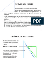 Triangulos Del Cuello