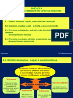 4 - O Desenvolvimento e Os Direitos Humanos