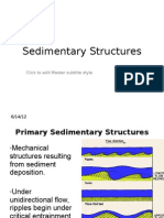 Sedimentary Structures